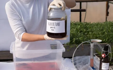 Grzyb scoby