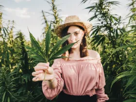 Kobieta trzymająca konopię indyjską