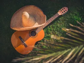 Gitara i kapelusz leżące na trawie 
