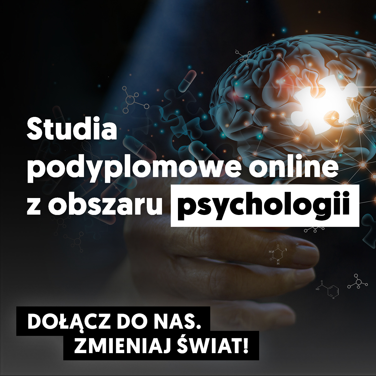 Poznaj studia podyplomowe online z obszaru psychologii na Uniwersytecie SWPS